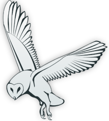 Gay Guys Chat Site Internet